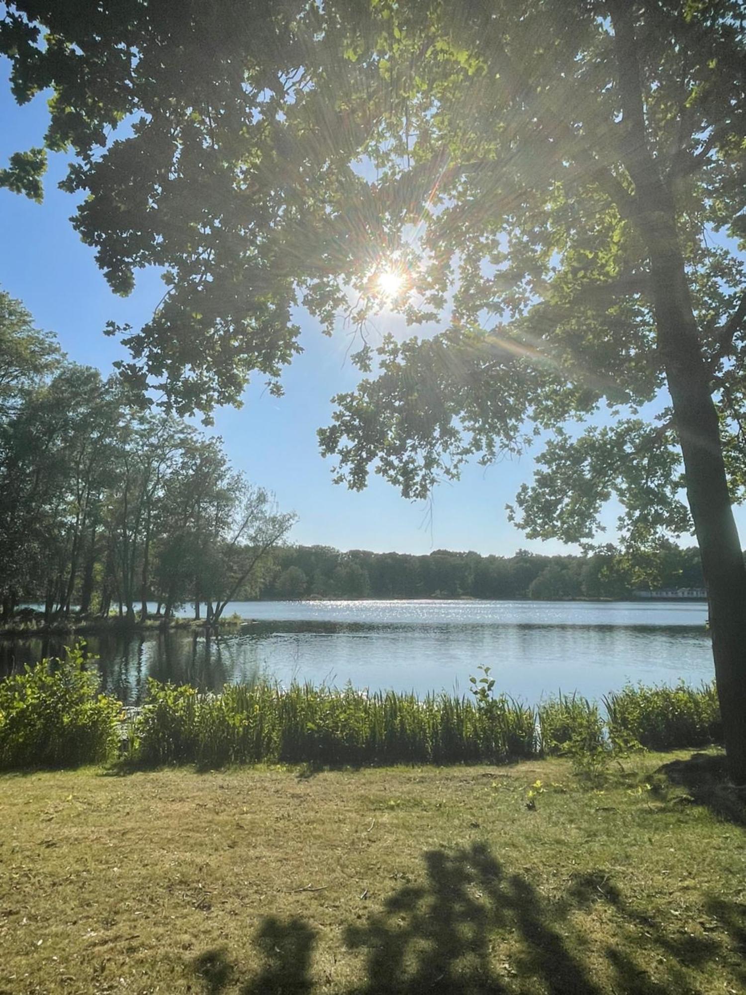 Boshuisje Pinus Sonnevijver Residences Lanaken Esterno foto