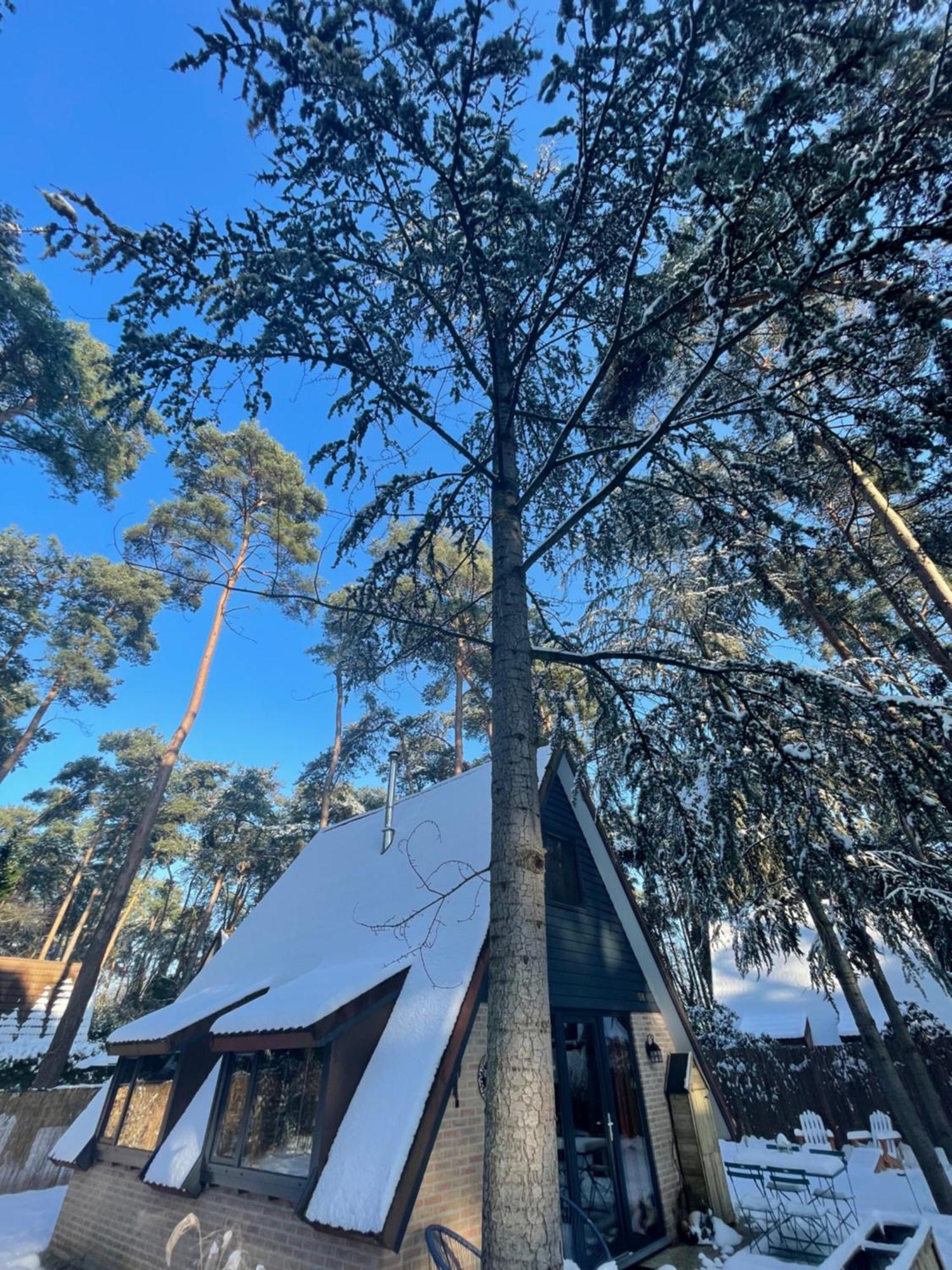 Boshuisje Pinus Sonnevijver Residences Lanaken Esterno foto